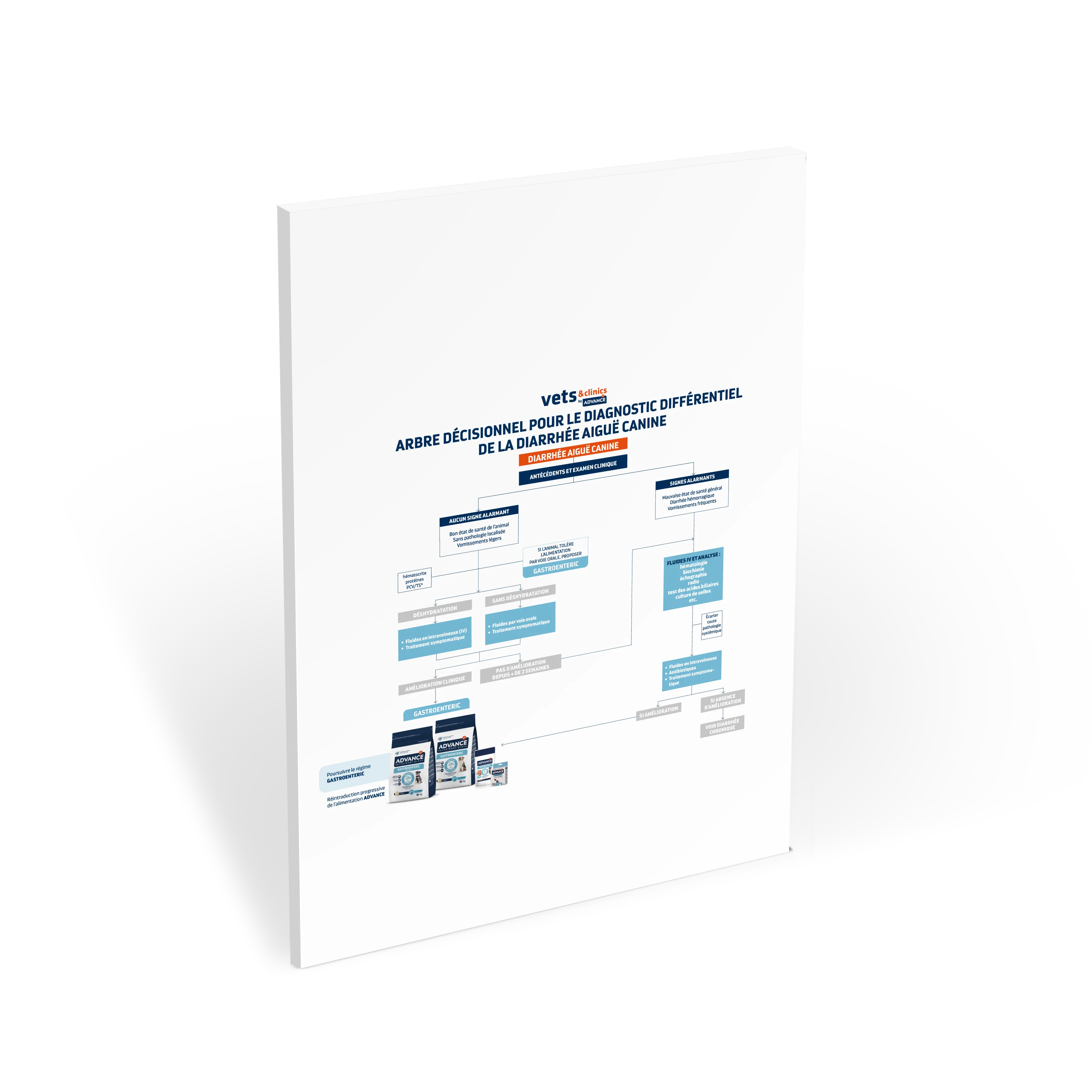 Miniatura_ARBOL DIARREA AGUDA-GASTROENTERIC-A3_FR