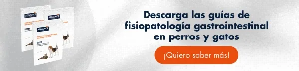 Descarga gratis la Guía Gastrointestinal Parte 3 [Incluye la revisión sobre las entereopatías crónicas en perro y gato] 