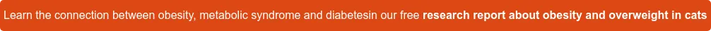 Learn the connection between obesity, metabolic syndrome and diabetes in our free research report about obesity and overweight in cats