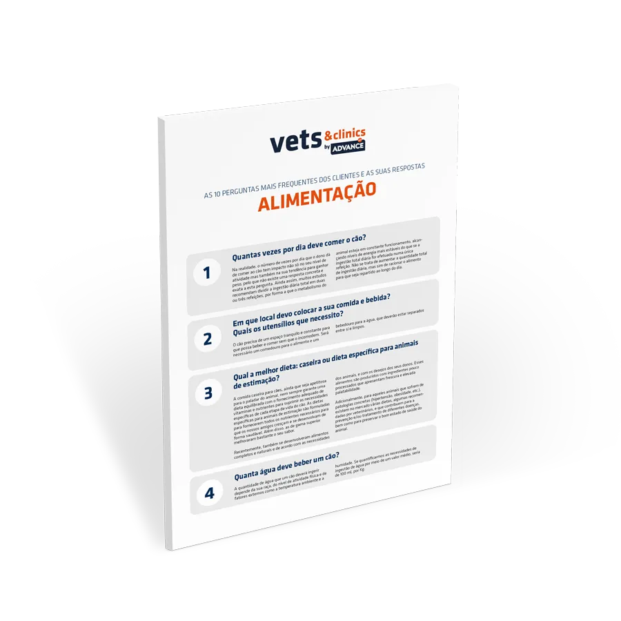 FAQs-alimentação FAQs-alimentação