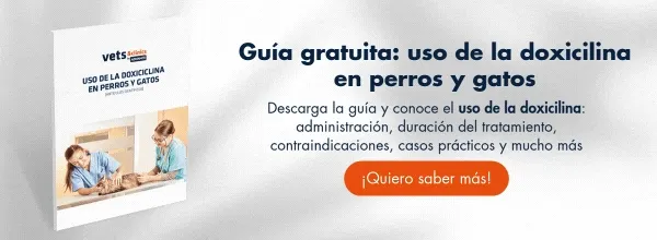 Descarga el informe: Leishmaniosis canina Descarga el informe: Leishmaniosis canina