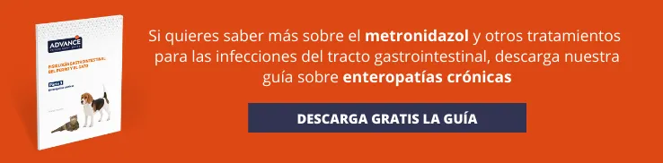 Guía GI parte 3 Guía GI parte 3