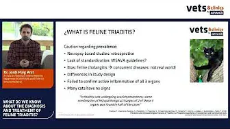 13. INT - What do we know about the diagnosis and treatment of feline triaditis?