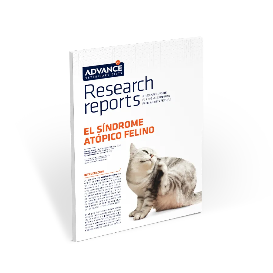 RR-sindrome-atopico-felino