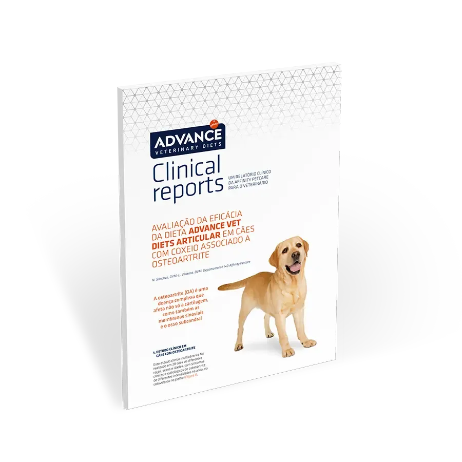 Clinical Report Articular