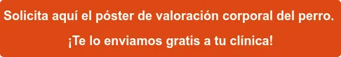 Solicita aquí el póster de valoración corporal del perro. ¡Te lo enviamos gratis a tu clínica!