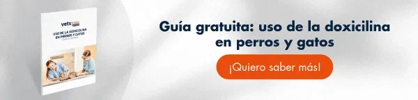 Descarga gratis la guia: El uso de la doxiciclina en perros y gatos. [Incluye artículos científicos]