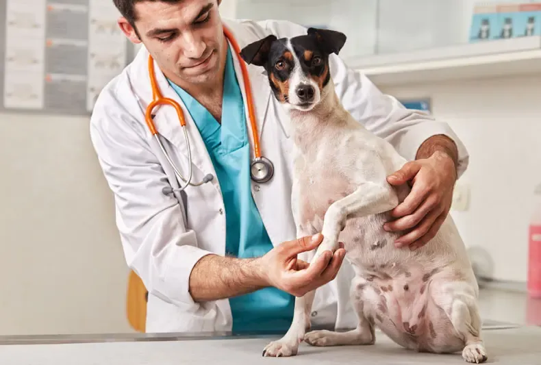 Condromatose sinovial do joelho. Em que consiste e como se controla