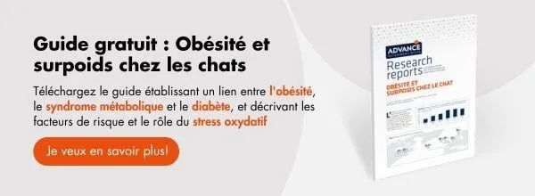 New call-to-action New call-to-action