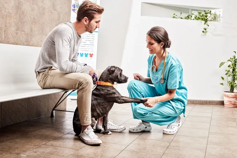 Cães e crianças. As vantagens da convivência com cães desde pequenos e os melhores cães para a família