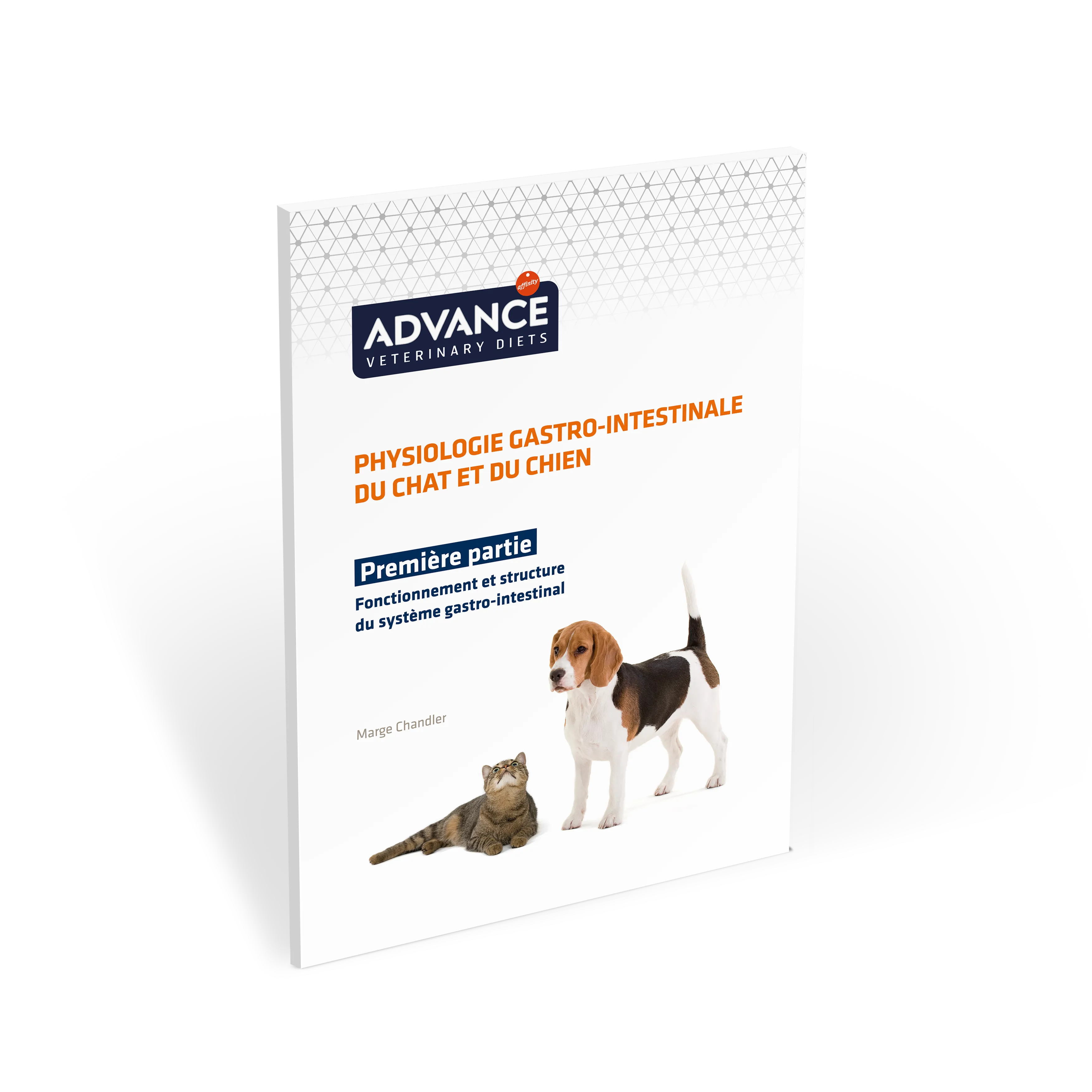 physiologie-gastro-intestinale-première-partie physiologie-gastro-intestinale-première-partie