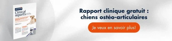 Guide d'ostéoarthrite canine: outils de prévention et de traitement Guide d'ostéoarthrite canine: outils de prévention et de traitement