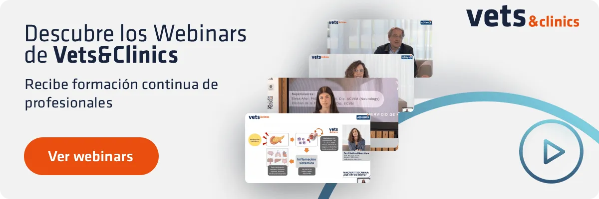Descubre los webinars de Vets&Clinics Descubre los webinars de Vets&Clinics