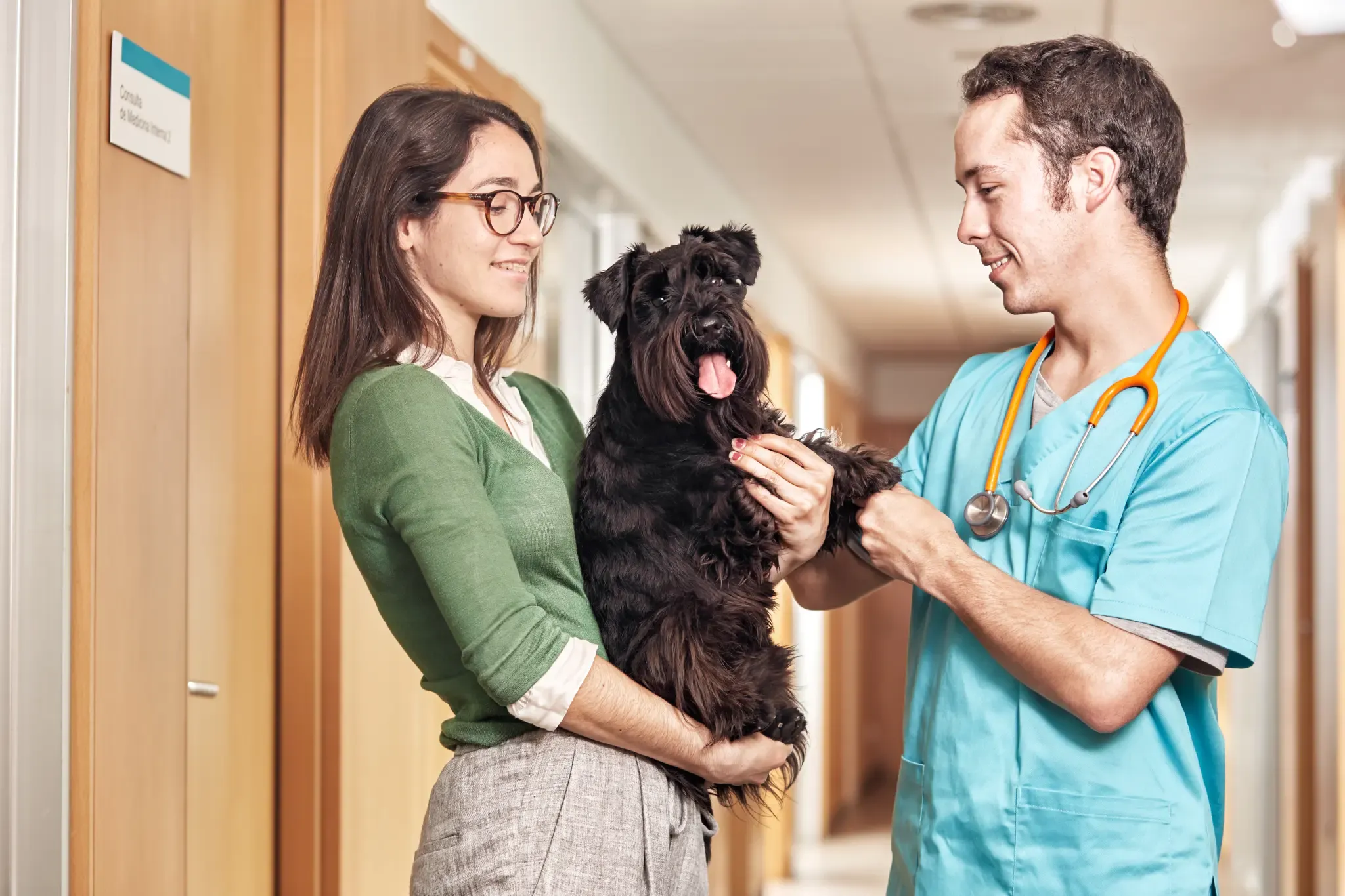 Entendiendo el lenguaje de los ladridos: ¿por qué ladran los perros?