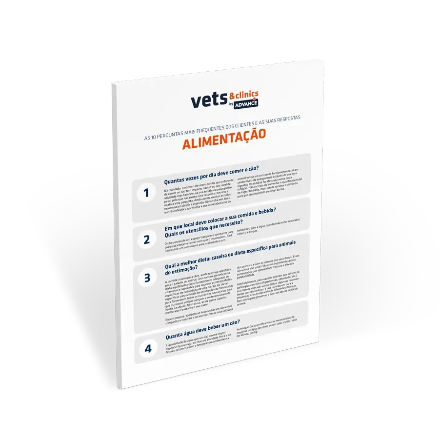 FAQs Alimentação
