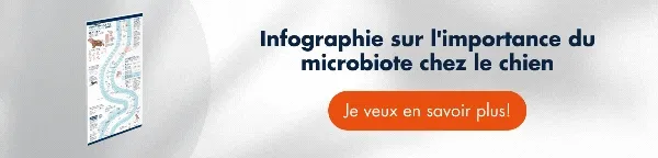 ↓Téléchargez gratuitement ici↓ Guide physiologie gastro-intestinale du chat et du chien ↓Téléchargez gratuitement ici↓ Guide physiologie gastro-intestinale du chat et du chien