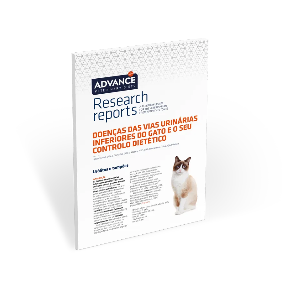 RR-Doenças-das-vias RR-Doenças-das-vias