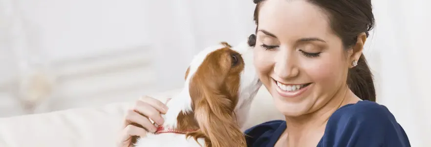 Lymphomas in dogs: predictors of long-term survival