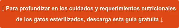 ↓ Para profundizar en los cuidados y requerimientos nutricionales de los gatos esterilizados, descarga esta guía gratuita ↓