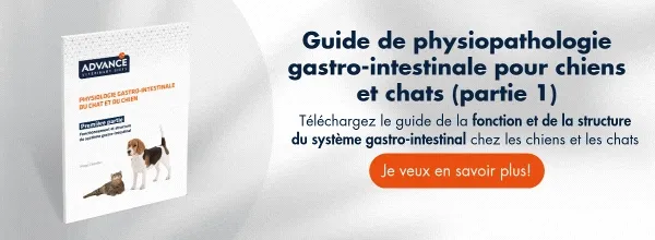 ↓Téléchargez gratuitement ici↓ Guide physiologie gastro-intestinale du chat et du chien ↓Téléchargez gratuitement ici↓ Guide physiologie gastro-intestinale du chat et du chien