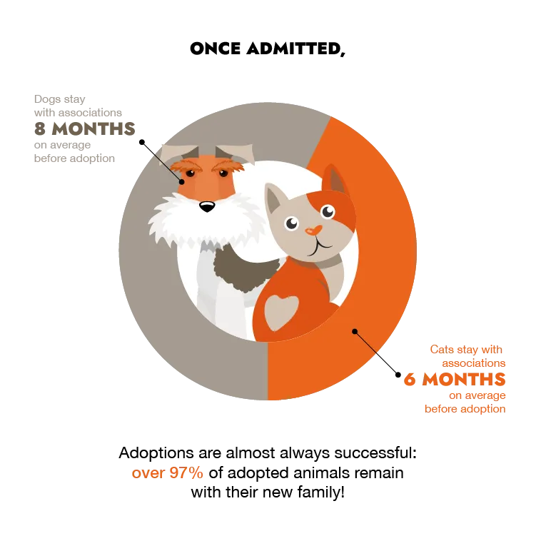 Tiempo en centros de acogida de Francia antes de adopción Tiempo en centros de acogida de Francia antes de adopción