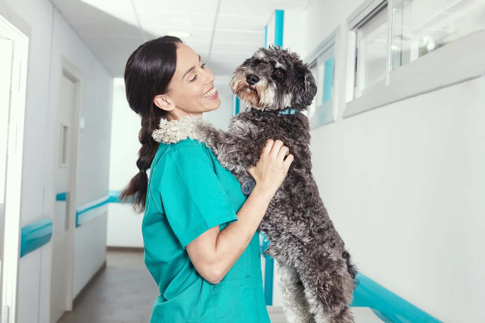 Entendiendo el lenguaje de los ladridos: ¿por qué ladran los perros? Entendiendo el lenguaje de los ladridos: ¿por qué ladran los perros?