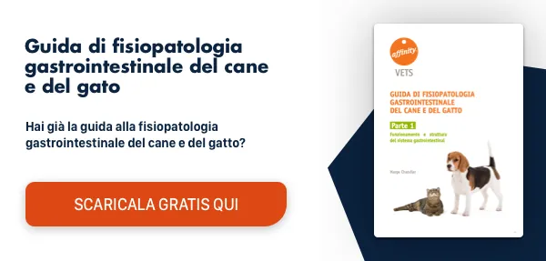 Nuevo llamado a la acción