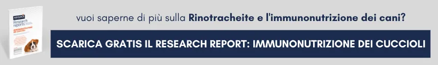 Nueva llamada a la acción Nueva llamada a la acción