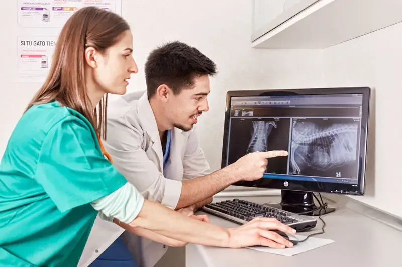 Apport de la radiographie chez le chien : exemple de la rupture traumatique de l'uretère