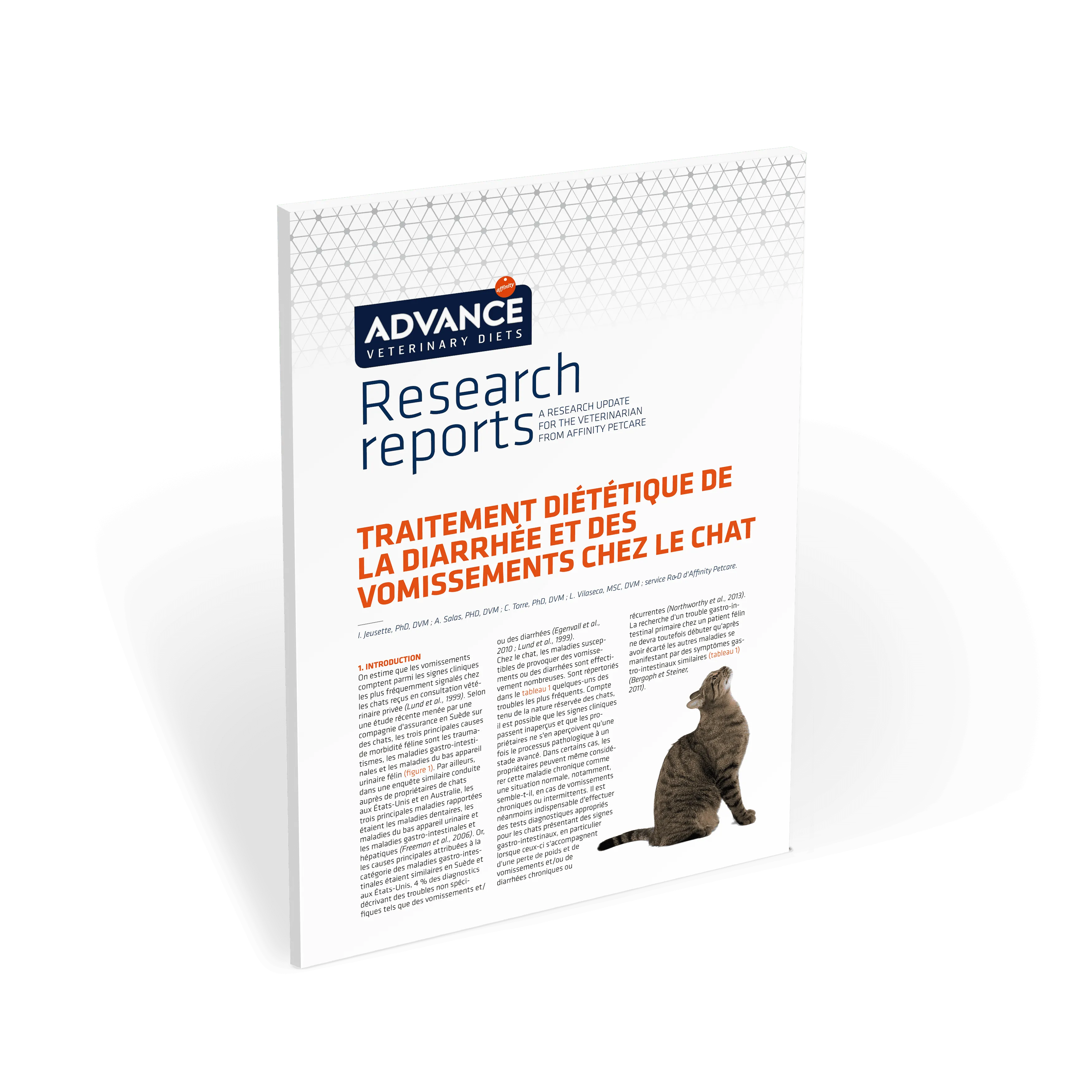 AFF-FR Gastro feline miniatura