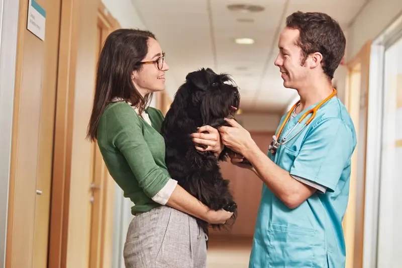 Programma "Respétame" della Fondazione Affinity ed educazione assistita con gli animali