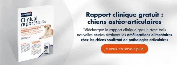 New call-to-action New call-to-action