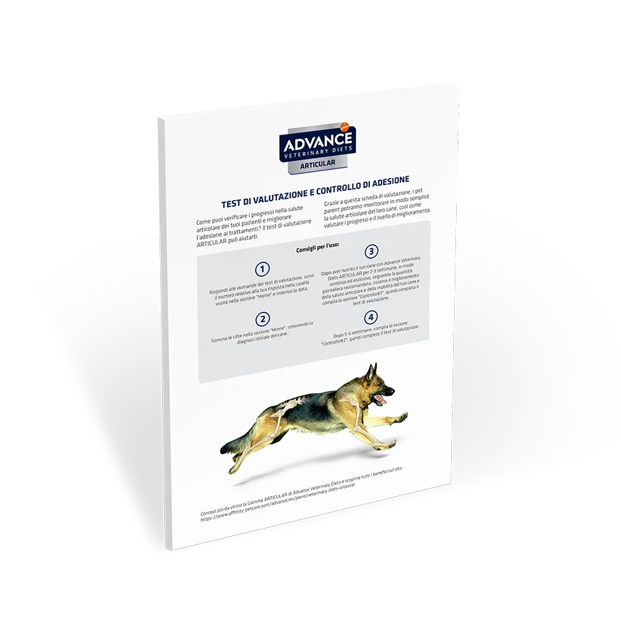 test-valutazione-articular