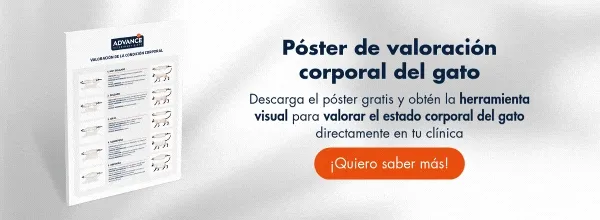 Guía Osteoartritis canina: Herramientas de prevención y tratamiento