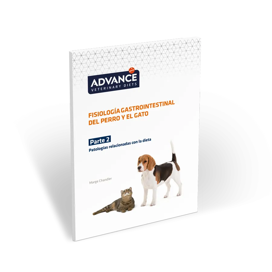 guia-gastrointestinal-parte2 guia-gastrointestinal-parte2