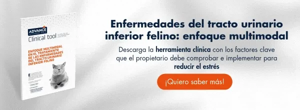 Descarga el informe del tracto urinario inferior felino Descarga el informe del tracto urinario inferior felino