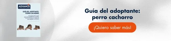 Descarga gratis la Guía del adoptante y ofrécela a los propietarios de cachorros [Resuelve dudas sobre esterilización, identificación, alimentación, higiene y más para los nuevos adoptantes de mascotas]