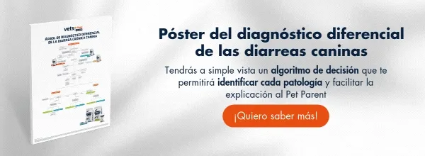 Solicita o descarga aquí el Póster del Diagnóstico diferencial de las diarreas caninas. ¡Te lo enviamos gratis a tu clínica!