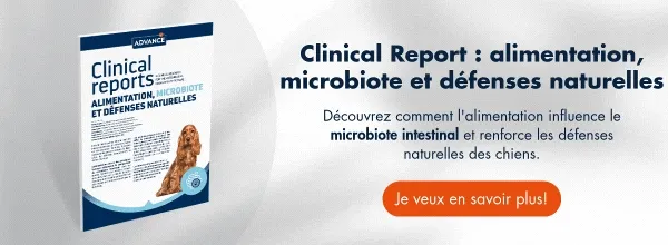 Nueva llamada a la acción Nueva llamada a la acción