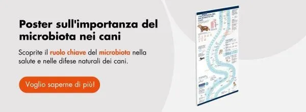 Research Report Urinary Research Report Urinary