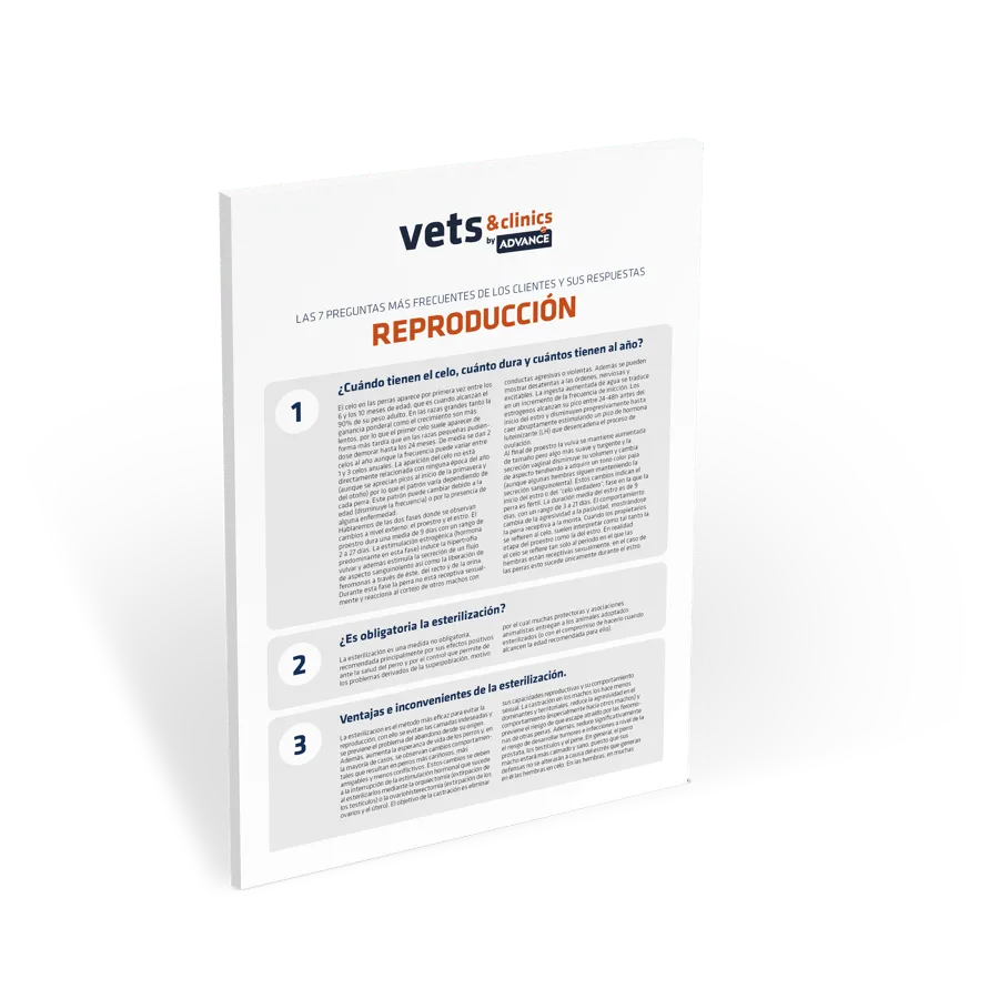 FAQs-reproduccion FAQs-reproduccion