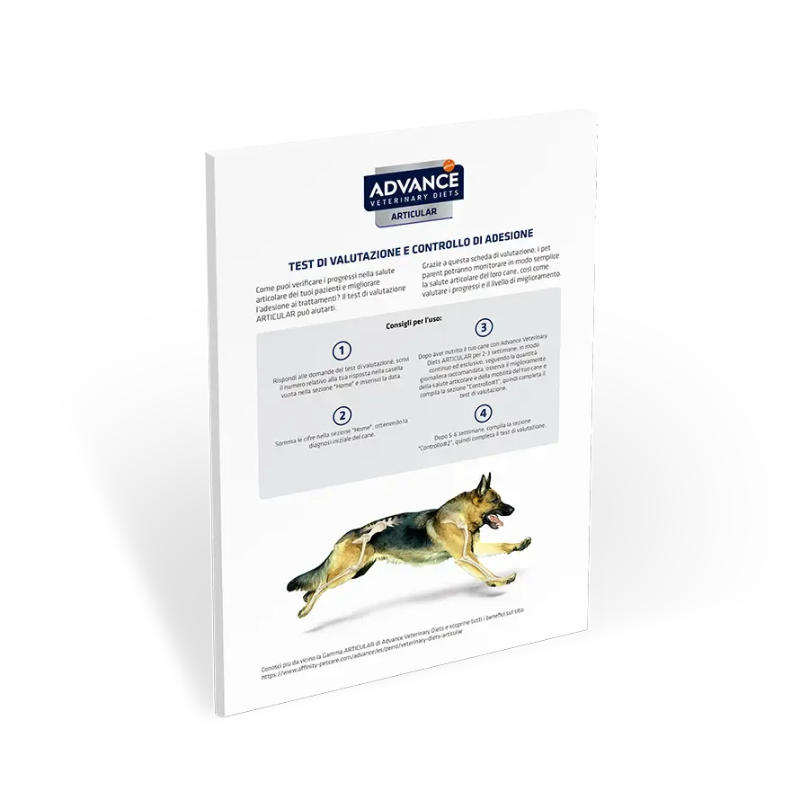 Test di Mobilità Articular Cane Test di Mobilità Articular Cane