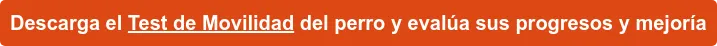 Descarga el Test de Movilidad del perro y evalúa sus progresos y mejoría