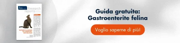Scarica GRATIS il report sul trattamento della diarrea e del vomito nei felini Scarica GRATIS il report sul trattamento della diarrea e del vomito nei felini