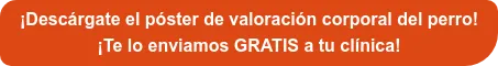 ¡Descárgate gratis el póster de valoración corporal del perro!