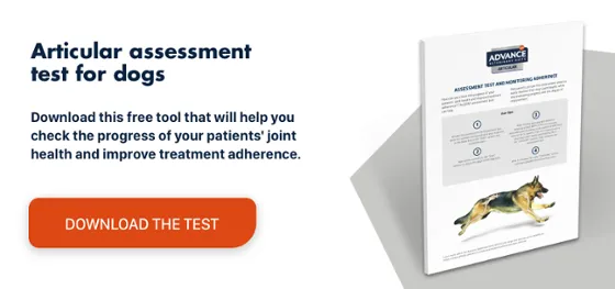 Test de movilidad perro