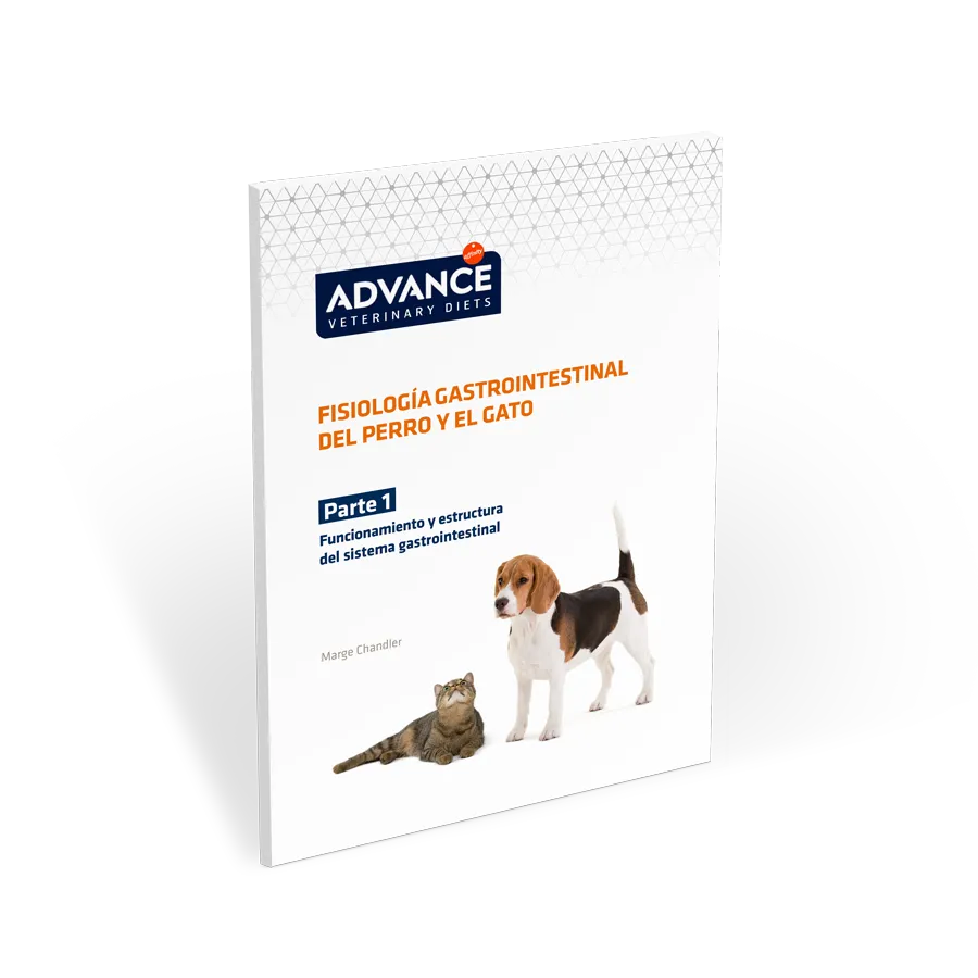 Guia_Fisiologia-Gastro_Parte1 Guia_Fisiologia-Gastro_Parte1