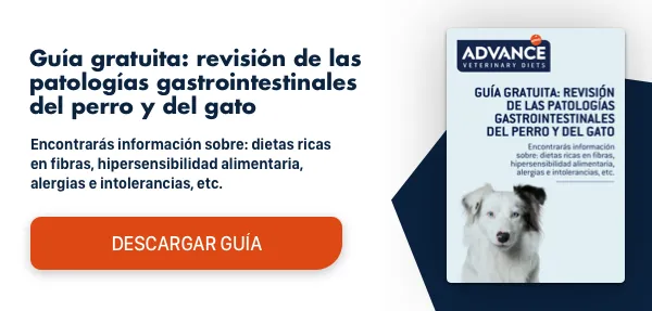 Guía Gastrointestinal parte 2 