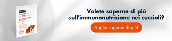 Oltre ai vaccini obbligatori: In che modo l'alimentazione può contribuire all'immunità del cucciolo? [Scarica la guida gratis]