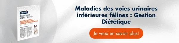 ↓Téléchargez gratuitement ici↓ Rapport sur les maladies du système urinaire féline ↓Téléchargez gratuitement ici↓ Rapport sur les maladies du système urinaire féline
